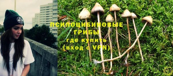 молекула духа Алзамай