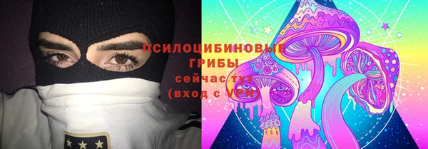 молекула духа Алзамай