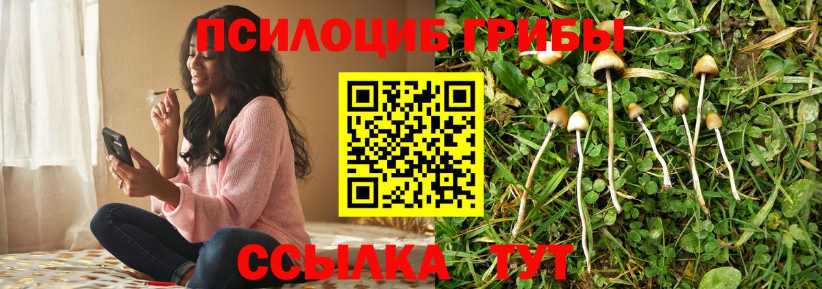 Галлюциногенные грибы Cubensis  Галлюциногенные грибы мицелий  Вход с VPN  Набережные Челны 